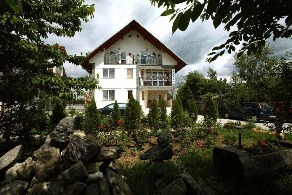 Гостевой дом Villa Nina Кымпина-4
